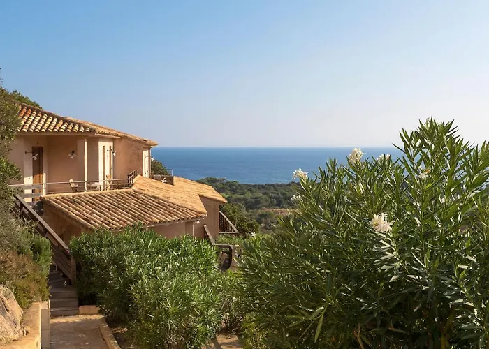 Les Terrasses De Scalegiu