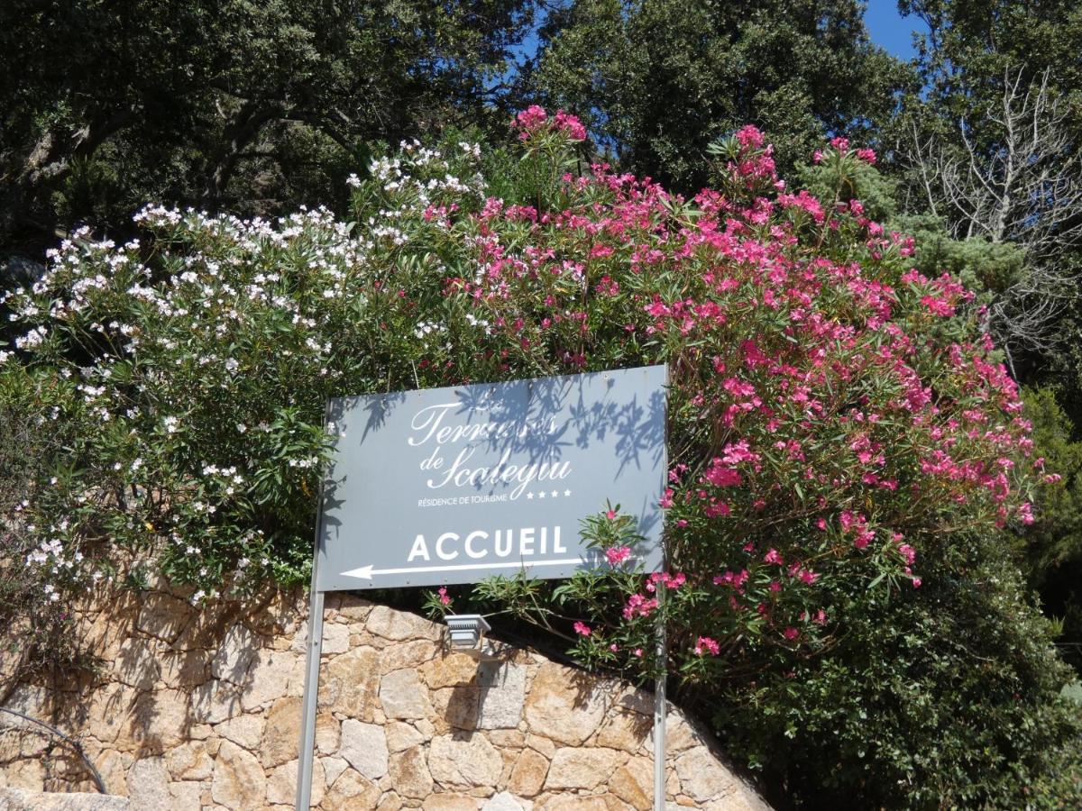 Hébergement de vacances Les Terrasses De Scalegiu *